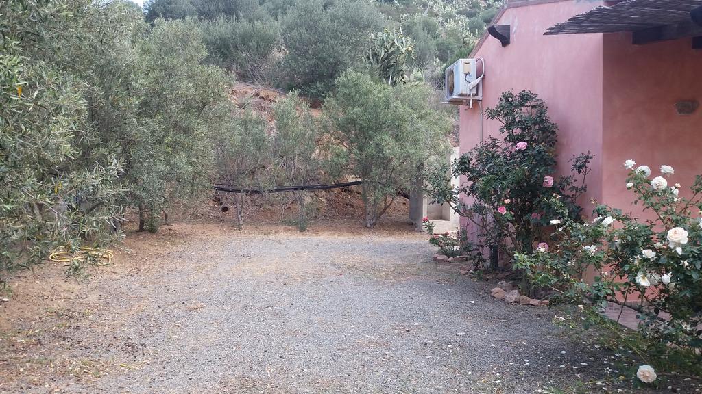 Bed and Breakfast Sumindulau Torre delle Stelle Esterno foto
